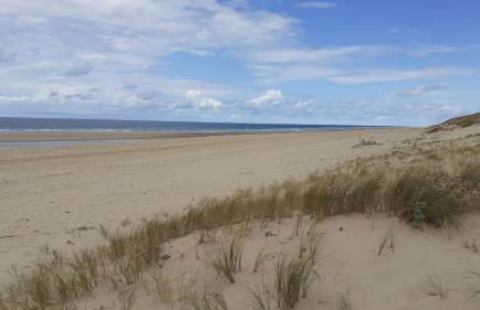 CHALET A NATURISTE Le TIKI - Foto 5