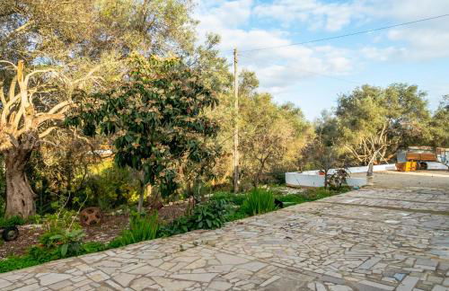 JB - Monte João Moleiro With Shared Pull - Photo 48