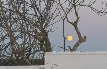 Casa no Montinho - Foto 73