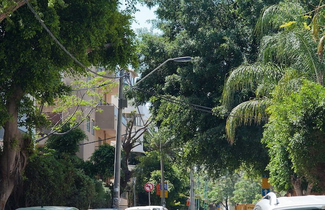 City Escape with Homey Vibes by Sea N Rent - Foto 18