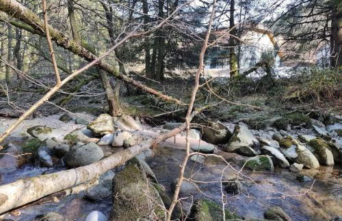 Somewhere Elz - Luxus Chalet für bis zu 38 Gäste - Foto 11