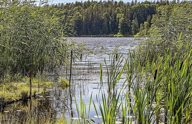 Lakefront Cottage in Torsebo - Foto 17