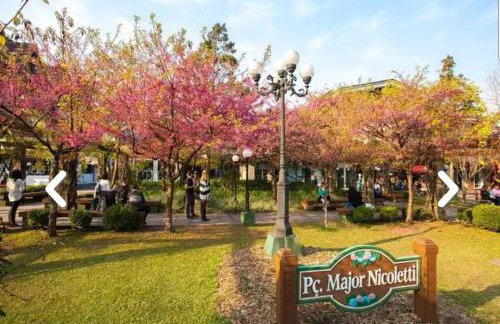 Flores da Montanha - Foto 60