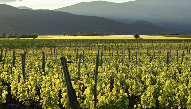 Alistrati Cave, Lazaridi Winery and City of Drama – Full-Day Private Tour - Photo 5