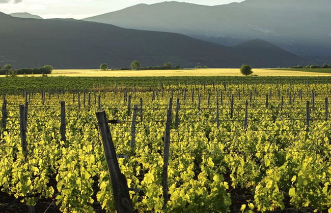 Alistrati Cave, Lazaridi Winery and City of Drama – Full-Day Private Tour - Photo 5