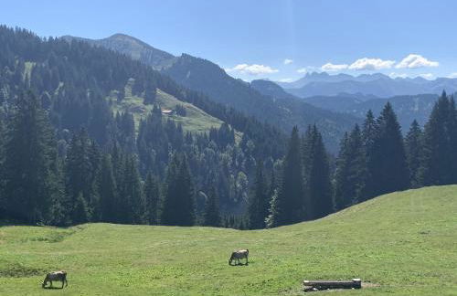 Anisers Hüs - Foto 17