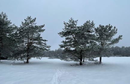 Holzhaus Devils Corner - Foto 32