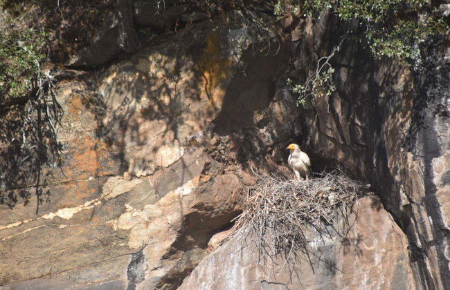 Paseo en barco por el Parque Natural del Duero Internacional - Foto 18
