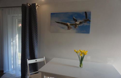 Apartamenty i Domki Osińscy - Foto 66