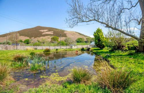 1 Bed in Llannefydd oc-p32089 - Foto 19