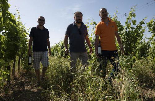 Agriturismo Belvedere Di Pierini E Brugi - Foto 7