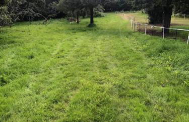 La Forêt Auvray - Maison de campagne - Foto 2