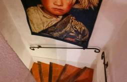 Les volets bleus - Photo 12