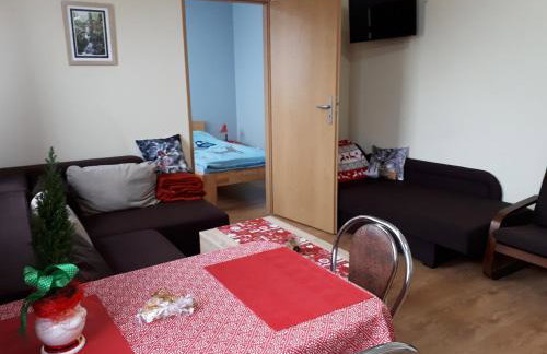 Apartament Borowiacki - Foto 14