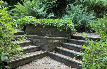 Noah - Seeleben auf Zeit am Rursee - Foto 14