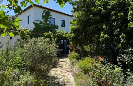 Villa Cornelia, Ponte de Lima - Foto 5