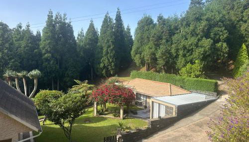 Quiet Place - Foto 5