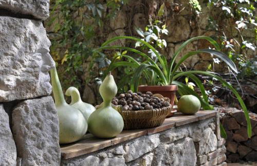 Agriturismo Tholos - Photo 18