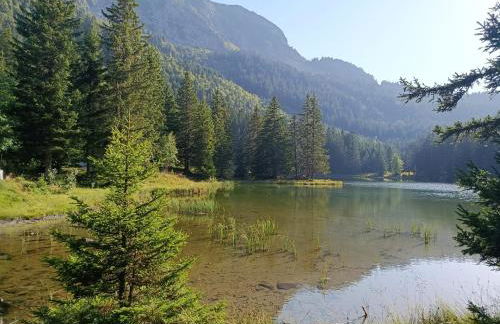 Studio en station de ski familiale, vue sur les montagnes - Foto 28