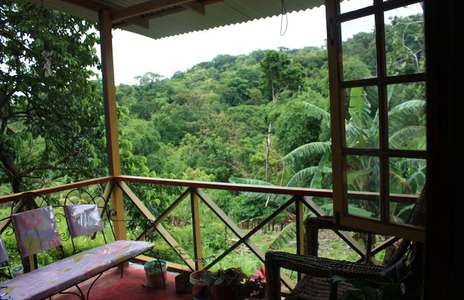 Nature in portland - Foto 20