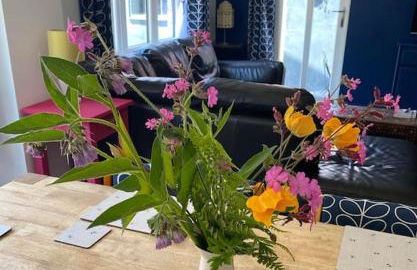 Bramble Cottage on the edge of Exmoor - Foto 11