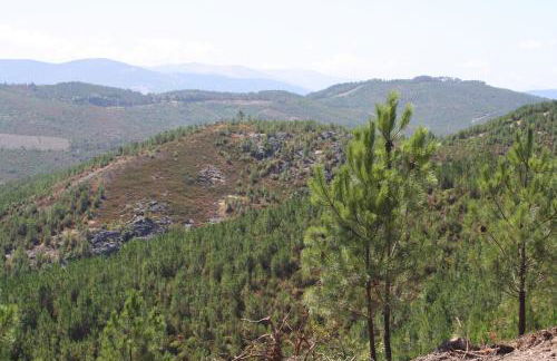 Retiro Da Arminda - Foto 63