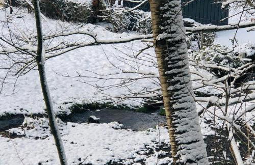 Ferienhaus Waldbaden im Nationalpark Eifel- am Bach - Foto 73