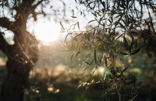 Villa Santa Margherita - Foto 98