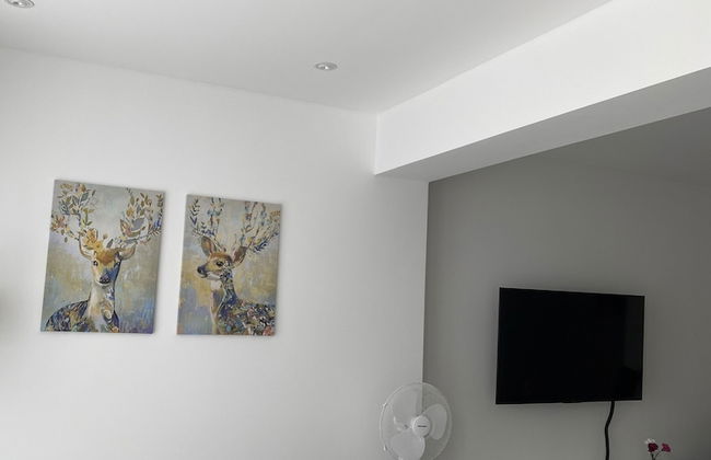 Spanien Flair mitten in Köln - Foto 29