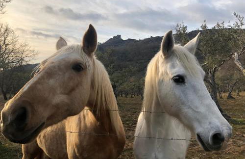 El Balcon de Los Sueños - Foto 33