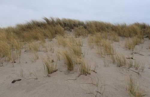 "Haus Seegang" für Naturliebhaber, strandnah, ruhig, mit großem Garten - Foto 38