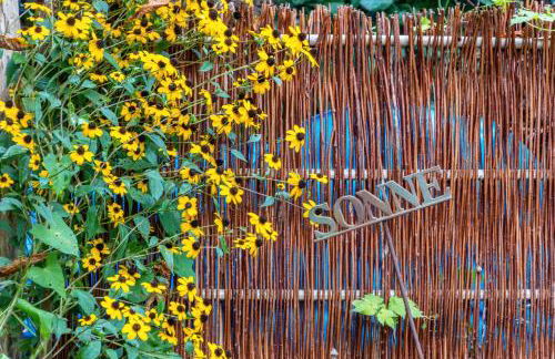 Menschen Meehr und wilder Wein - Foto 32