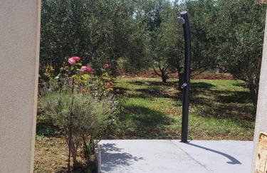 Apartmani Čiklić - Photo 38