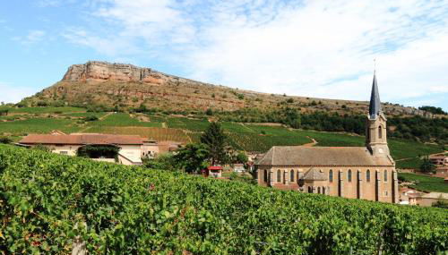Ancien cuvage rénové au cœur du vignoble - Foto 3
