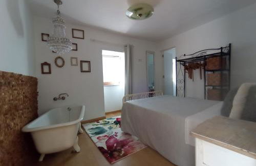 Gerês e Cabreira - Romoa Vintage Guest House - Foto 44