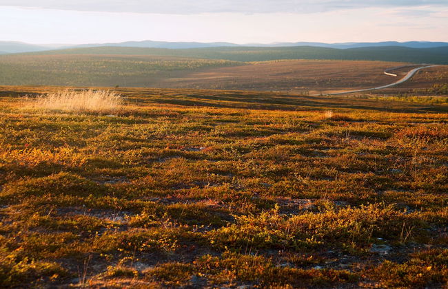 Villas Karhunpesä - Foto 16