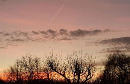 La Bucolique - Foto 20