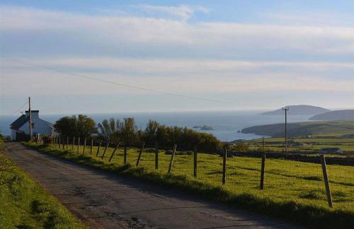 Bryn Goleu - Foto 32