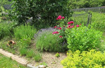 Appartements Kirchtalhof - Photo 50