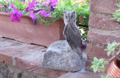 Sport Bikes and Nature - Foto 16