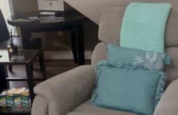 LARGE STUDIO open concept in Boston Zoo Franklin Park near - Foto 8