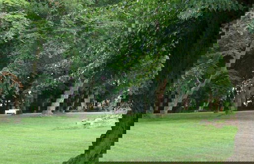 Herrenhaus Alt Vorwerk - Foto 32