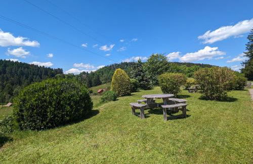 Gîte Confortable en Pleine Nature avec Cheminée et Accès Direct aux Sentiers, Proche Gérardmer et Lac - FR-1-589-124 - Photo 29