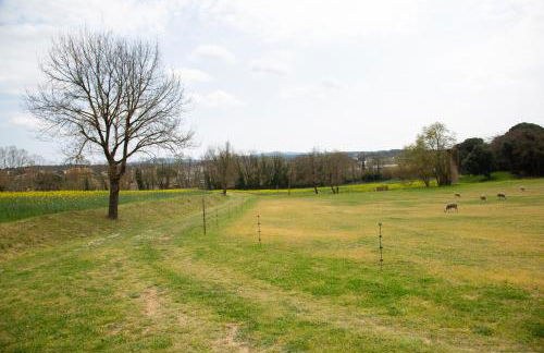 Mas Teixidor, Masia entre Girona y la Costa Brava - Foto 36