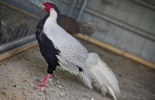 Agriturismo Quadrifoglio Relax - Foto 97