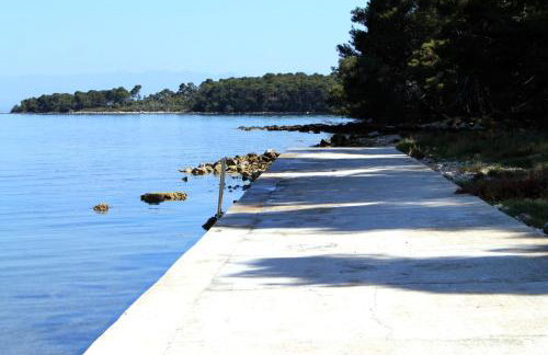 Apartments with parking space Molat - 6249 - Photo 6