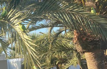 Lovely apartment with pool - Foto 41