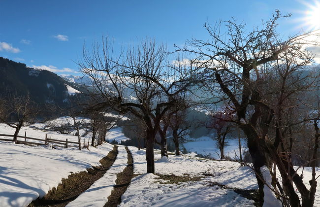 Feldkasten - Foto 58