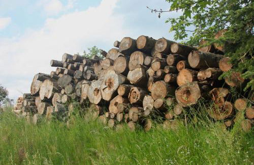 Harzhaus Drei Hexen - Foto 66