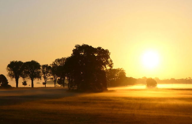 Elbwiesenhaus Modern Retreat - Foto 13